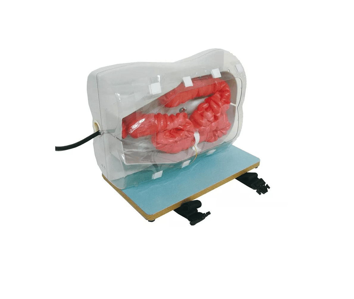 Koloskopie - Simulator - Erler - Zimmer